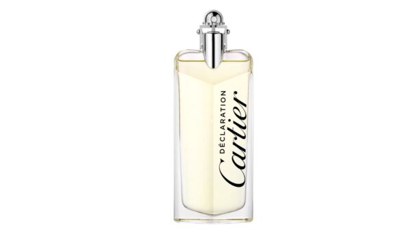 Déclaration Cartier Eau de Toilette 100ML