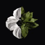 L'Interdit Givenchy Eau de Toilette