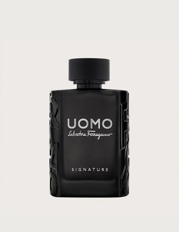 Uomo Salvatore Ferragamo Signature 100ML