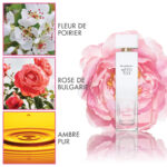 Elizabeth Arden White Tea Wild Rose Eau de Toilette 100ML