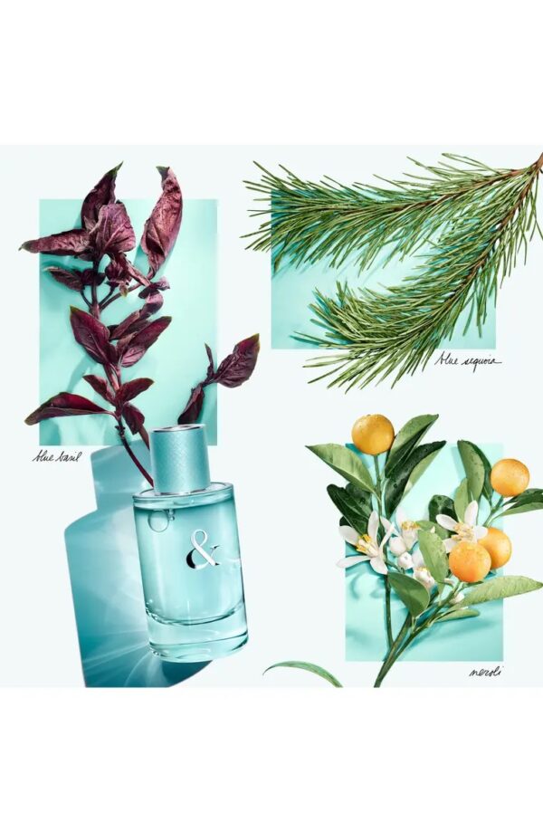 Tiffany Co Love Eau de Parfum for Her 50ML