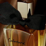 Cabochard Eau de Toilette 100ML