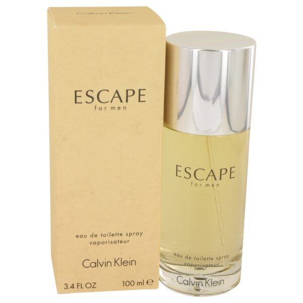Calvin Klein Escape Men 100ML