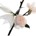Yves Saint Laurent Mon Paris Parfum Floral 90ml