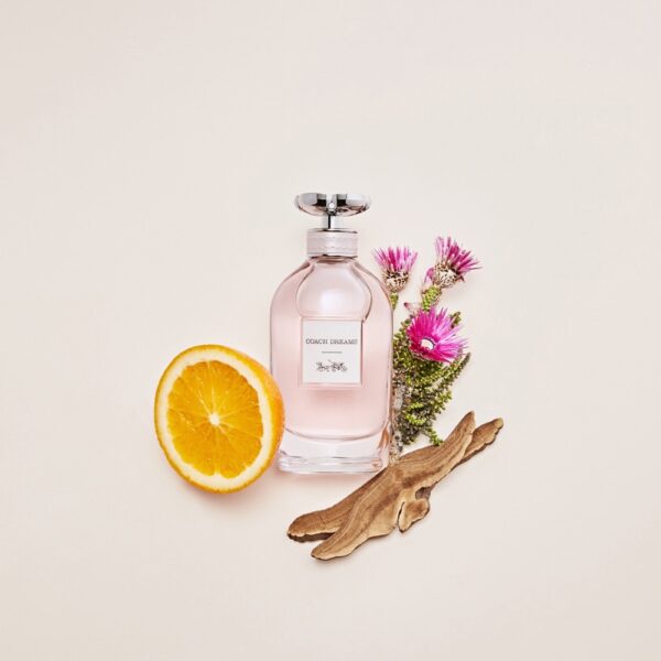 Coach Dreams Eau de Parfum 90ml