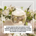 Cacharel Noa Eau De Toilette 100mL